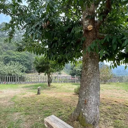 Terra Alta Do Furnia Holiday home Tui