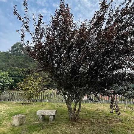 Terra Alta Do Furnia Hébergement de vacances Tui