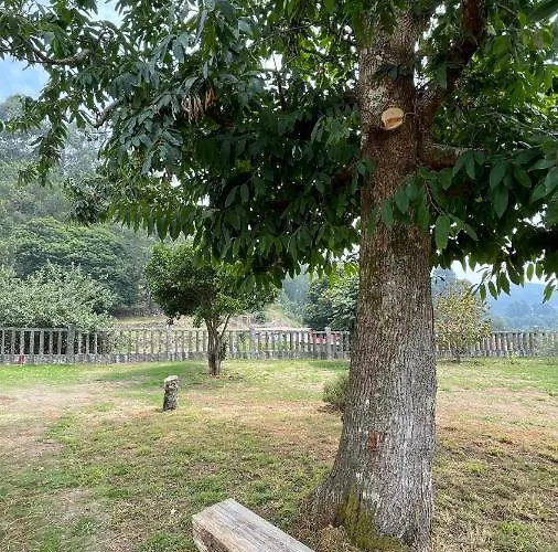 Terra Alta Do Furnia 別荘 トゥイ