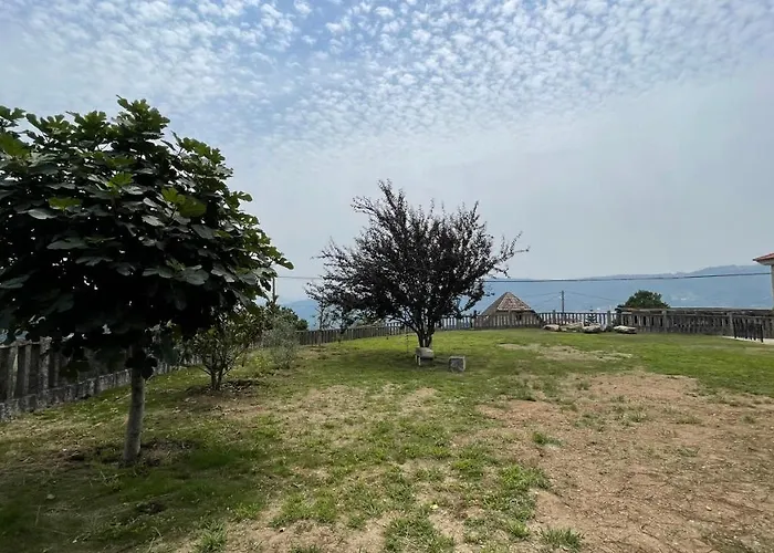 Terra Alta Do Furnia 別荘