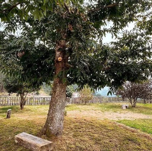 Terra Alta Do Furnia 別荘 トゥイ